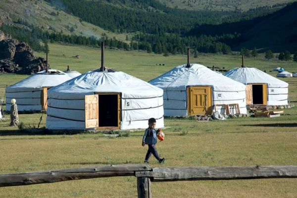 mongolia gercamp 304 Copy